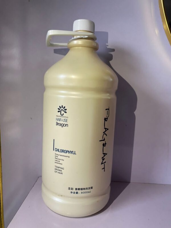 Great dragon conditioner 5L