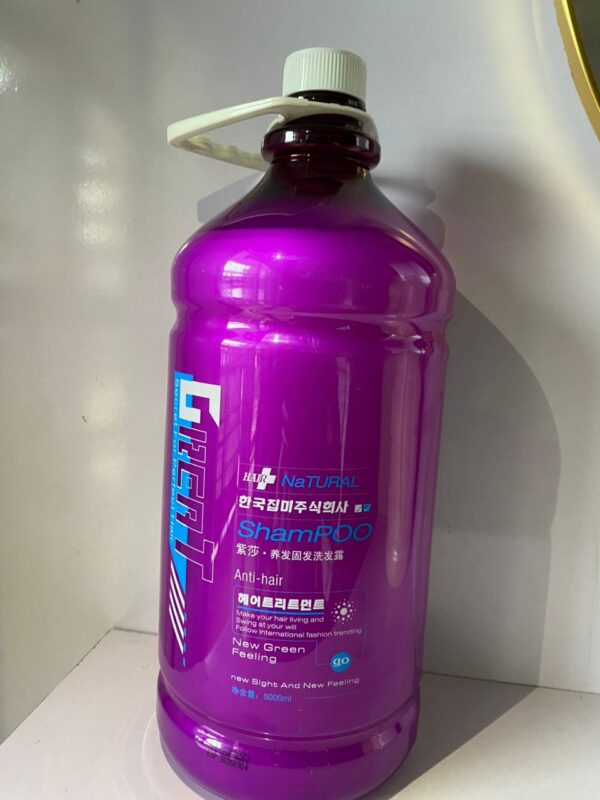 Great dragon Shampoo 5L